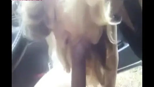 Mel carparcking cadı yabancı