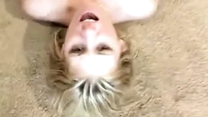 Bir dolar için kedi