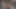 İri göğüslü üvey kız kardeşle karşılıklı mastürbasyon yapıyor ve sonra sıkı kıllı amcığını sikiyor