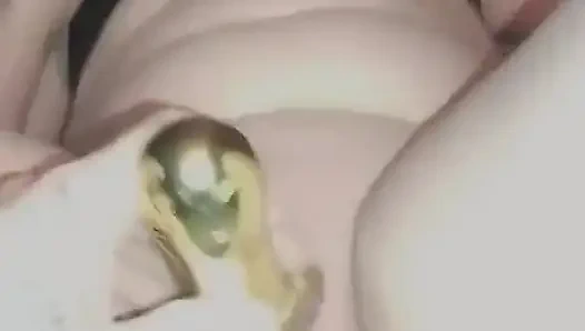 My Golden Rabbit