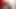Ride and Rub Until Squirt Inflatable Whale - Bunny Looner