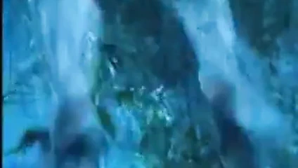 Çömelmiş kaplan gizli penis