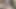 O inek - inek fotoğrafçı horoz seviyor