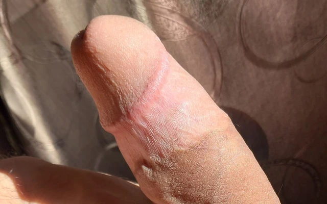 Amatör boğa güreşi