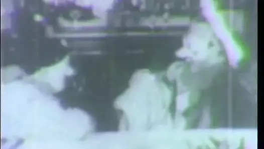 Kostüm partisi bir swinger seks partisi olur (1940'larda vintage)