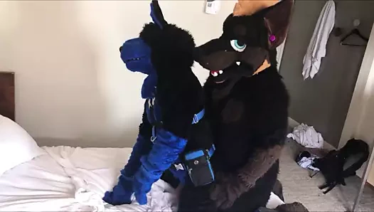 İnce sikikleri kairo murrsuit