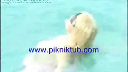 Celeb türkçe banu alkan memeleri