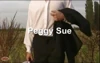 Pré-visualização do vídeo