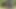Sonunda kayınvalidesi hayalini gerçekleştirdi