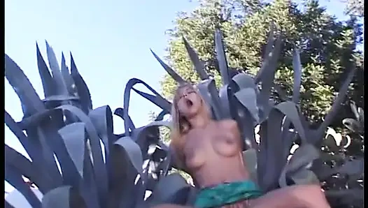 Hayran sarışın genç kız sert sikilmeden önce amını yalıyor