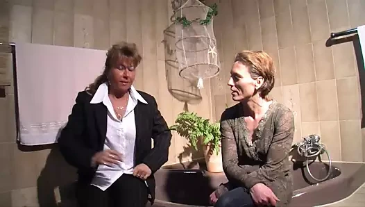 Aşkı arayan iki puma