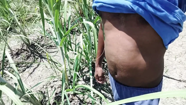 Tamil oğlan yürüyor ve büyük siyah yaraklı köy bölgesini gösteriyor çoğunlukla tehlike alanı