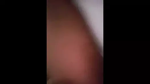Vanessa (benim kedimde)