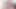 Bts-haitian Fresh'in Yağlı Penisi Alice Pink tarafından Sahne Arkasında Tapıldı!