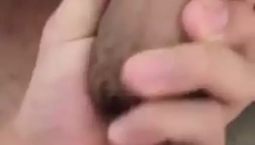 büyük horoz anlamak