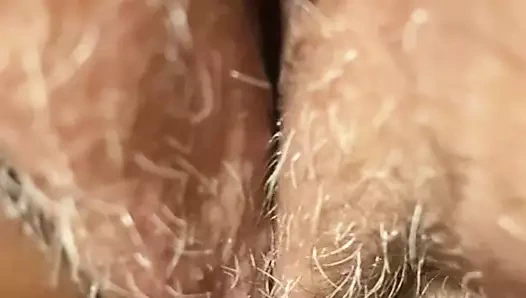 San antonio'da bizi ziyarete gelmek için düzenli birine ihtiyacınız var