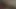 Hassas meme ucu sevenler sanal gerçeklikte birbirlerini azdırıyor - 1