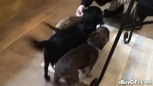 Carolyn reese masturbates ile yapay penis