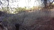 Vista Previa del Video