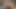 Sophia leone ve katrina kastro johnny'nin yarağını paylaşıyor ve onu boşaltıyor, sonra kız kıza harekette bazı kızla devam ediyor - mofos