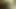 Karen