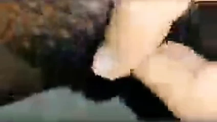 Sri Lankalı kız arkadaş amcık gösterisi