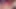 M31