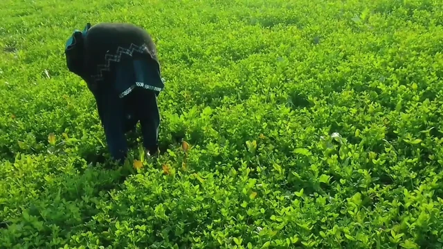 Khet kheton mein gand Marne Laga upar se Koi aaega FIR chhod Diya