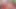 Tombul orta yaşlı seksi kadın Jessica Lust şişman amının doldurulunu istiyor