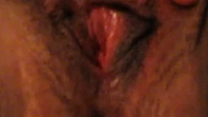 cochonne