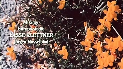 Retro se 03 70s altyazı ingilizce