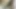 Maya_Dahlia videosu