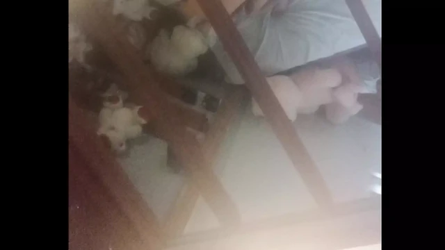 Üvey kocam beni sikiyor. gizli çekim