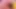 Ateşli lezbiyenler dildo emiyor ve yatakta sikişiyor