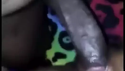 Abanoz civciv ve o siyah sevgili