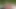 Tushy aldatan kızıl saçlı Megan Longoria iyi bir anal sikişe karşı koyamıyor
