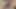 Ssbbw 31 talimatı veriyor