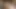 Amatör iri güzel zenci lezbiyenler vahşi ev yapımı sikişte çift dildo paylaşıyor
