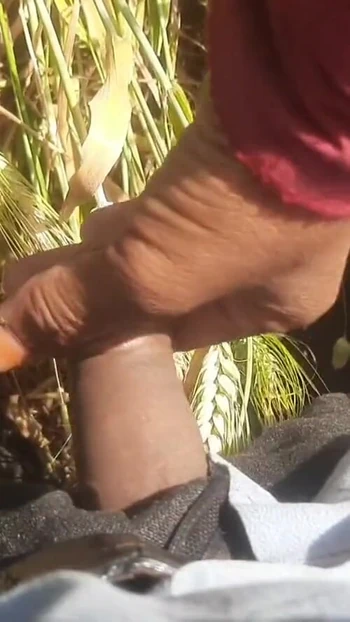 Ключевой момент из "Красивая невестка нарезала корма на пшеничном поле, шурин трахнул большую толстую задницу в"