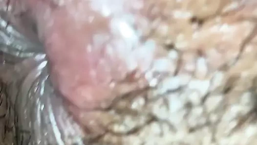 siyah horoz sevdi iyi