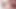 Sikilen Lacey Jane ve Kiki Cali için sert anal boşalma