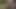 hotwife alır fucked tarafından bir adam açık havada