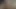 Ofiste öğle yemeği sırasında kedi almak