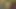 bdsm oturum için bağlı güzel naturals ile sevimli hottie