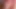 Blowjob, doggystyle and juicy cumshot – close-up macro