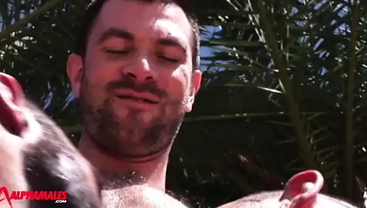 Alphamales - Foursome Fuck With Muscular Guys