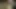 Mit der Flasche im Wald gefickt
