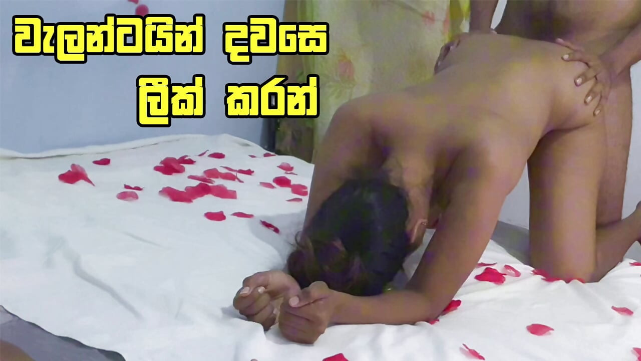 Üvey kız kardeşler büyük göt boşalma sevgililer günümle dolu - sri lanka