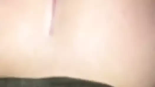 Esmer emme büyük siyah horoz