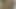 benim güzel jamaikalı gf